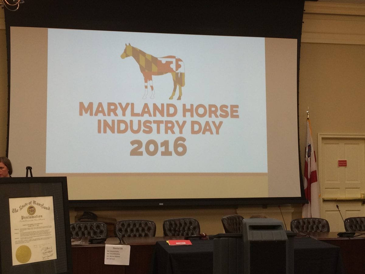 Horse Industry Day showcases industry cohesion