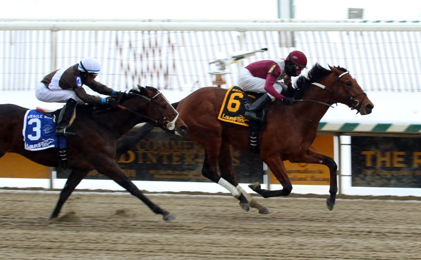 Marengo Road held off Charmed Victory to win the Miracle Wood Stakes Monday at Laurel Park. Photo by Laurie Asseo.