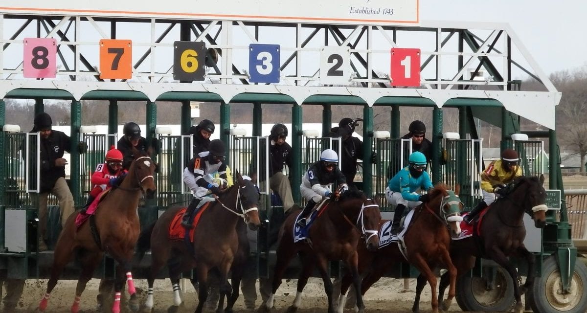 Laurel Park slated for Friday racing