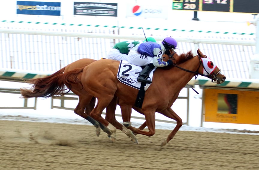 Page McKenney was narrowly best in today's Grade 3 General George at Laurel Park. Photo by Laurie Asseo.