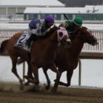 Charmed Victory aims for first stakes win