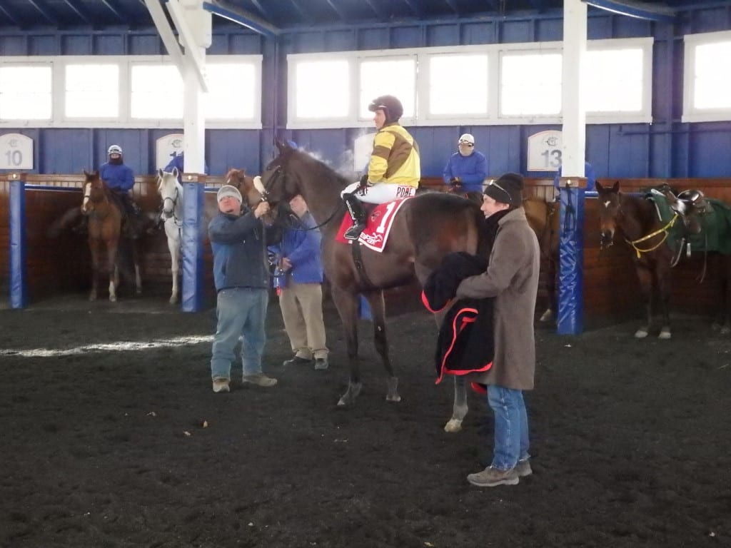 Jevian Toledo and Pangburn took Saturday's Maryland Racing Media Stakes and were a little bit steamy afterwards. Photo by The Racing Biz.