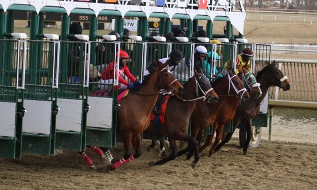 Maryland Racing Commission to analyze status of Thorougbred racing, breeding industries