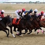 Laurel Park Racing Notebook, Fall Meet Vol. 9