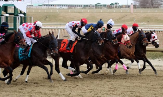 Jockeys brave the elements (but get cold toes)