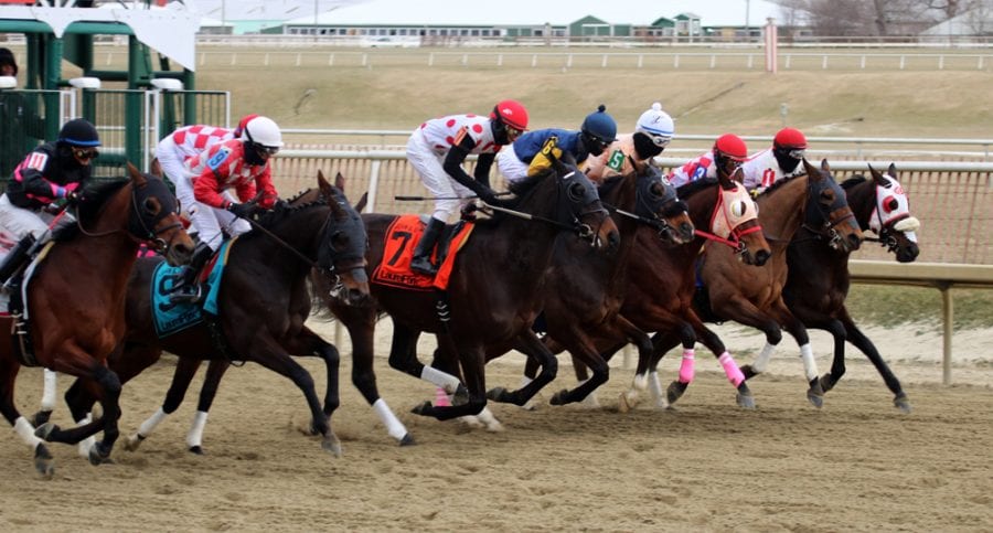 Jockeys brave the elements (but get cold toes)