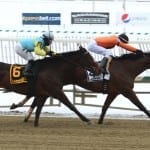 Jockeys brave the elements (but get cold toes)