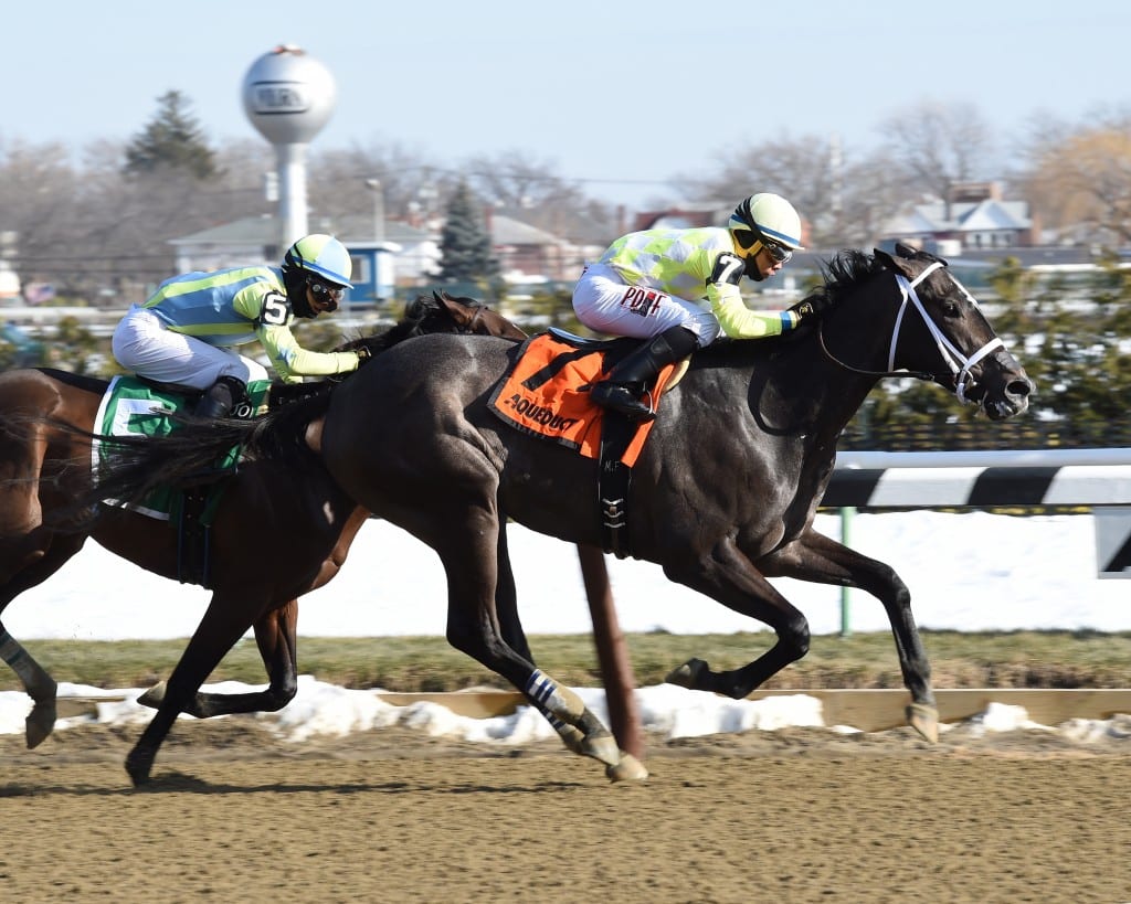 Sunny Ridge took Saturday's Grade 3 Withers. Photo by Chelsea Durand, NYRA.