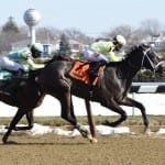 Midlantic-breds dominate Fasig-Tipton mixed sale