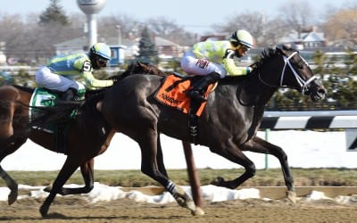 NJ-bred Sunny Ridge earns Withers win