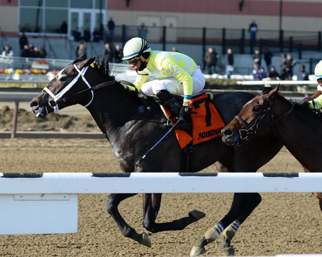 Sunny Ridge's Withers victory put him in third place on the Kentucky Derby points leaderboard. Photo by Joe Labozzetta/NYRA.