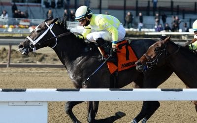 Sunny Ridge takes Jazil Stakes