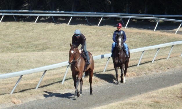 Maryland horse industry impact surges