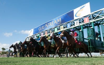 Initiative launched to protect live racing in Florida, elsewhere