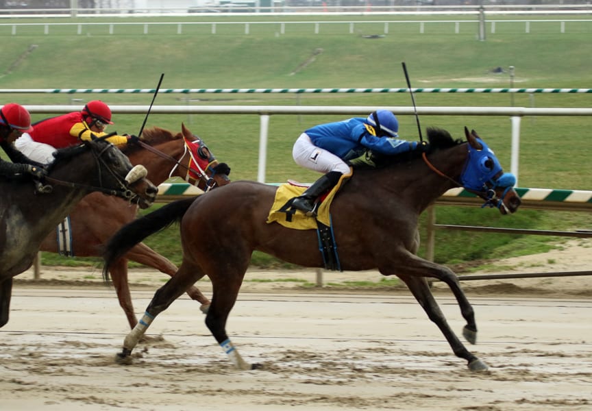 Sonny Inspired won the 2016 Ben's Cat Stakes. Photo by Laurie Asseo. 