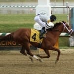 Abiding Star stuns Private Terms rivals