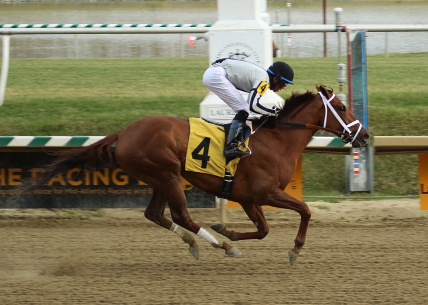 Sophia’s Song romps to Caesar’s Wish victory