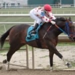 On tap: Weekend action
