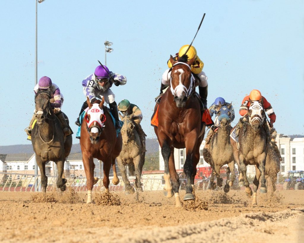 Stanford (center) leads them home in the Charles Town Classic. Photo by Coady Photography.