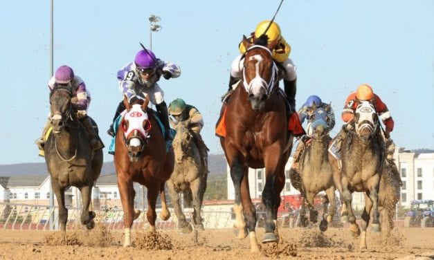 Stanford heads Charles Town Classic field