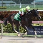 Yesterday and today: April 2 racing highlights