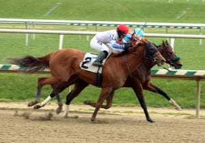 Awesome Speed and Governor Malibu.