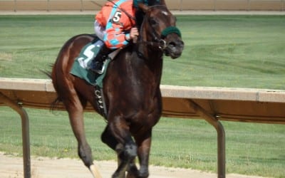 Midlantic runners on Belmont Saturday