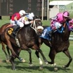 Nyquist, California Chrome head NTRA polls
