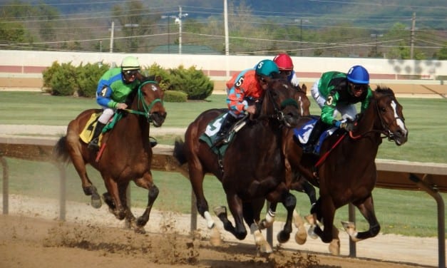 Seventh annual owners’ conference set for July