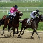 Charles Town cancels weekend cards