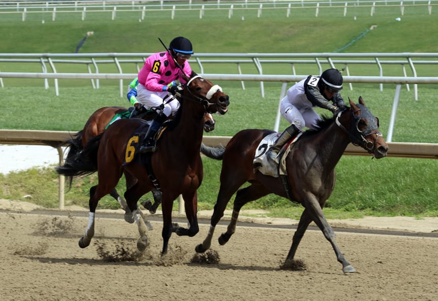 Shine Again Stakes: Preview and analysis * The Racing Biz