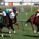 Yesterday and today: April 14 racing highlights