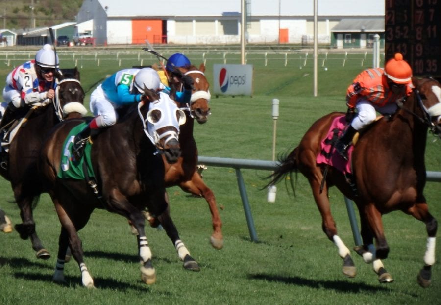 Monster Sleeping (#5) edged Two Wonders to win an allowance race at Laurel Park on April 3, 2016.