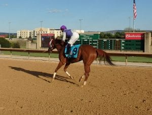 pagemckenneypostrace2