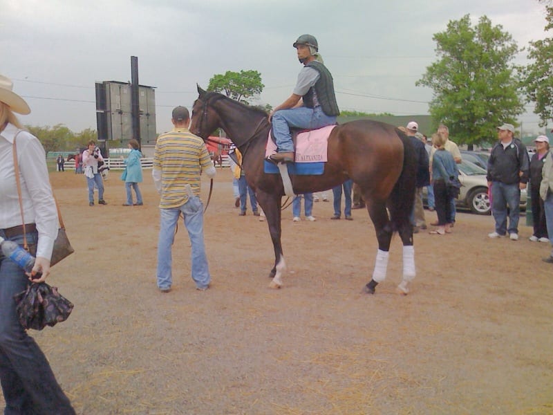 Rachel Alexandra