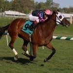 Stanford takes them all the way in CT Classic