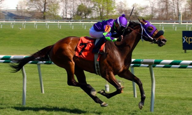 Seeking Treasure sets Laurel record in Dahlia win