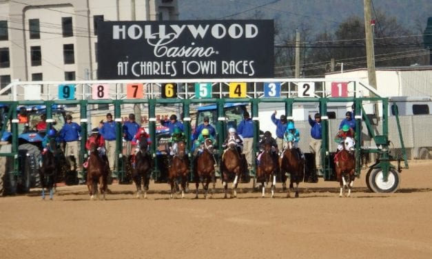 Bud Clydesdales to visit Charles Town