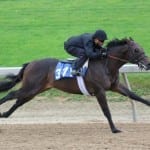Preakness photos call-by-call