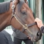 Preakness Moments: Stan Salter