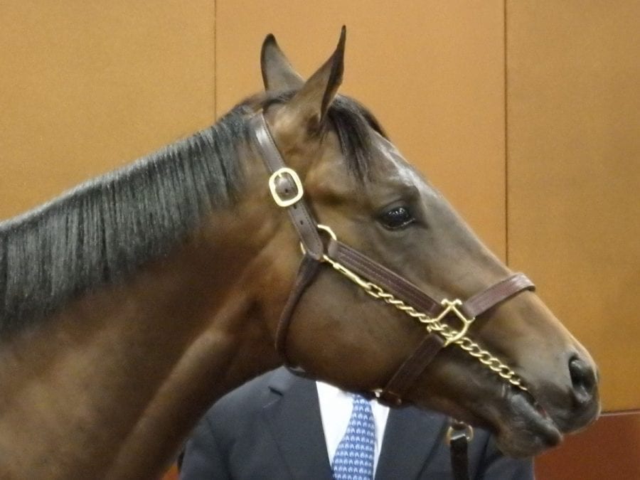 Fasig-Tipton