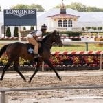 Fasig-Tipton sale rallies in second day