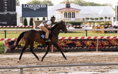 All signs positive for Exaggerator after Pimlico jog