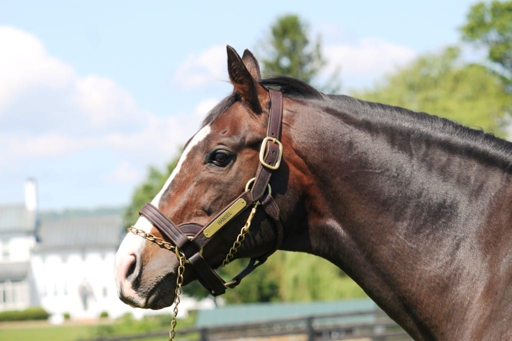 Preakness Chart 2014