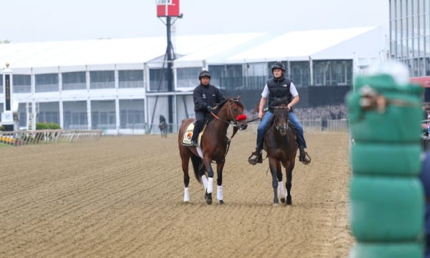 Preakness profiles: Nyquist