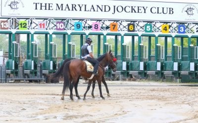 New Maryland Jockey Club board named