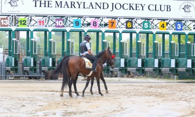 Pimlico forced to cancel Sunday card after four races