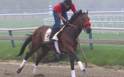Nyquist feeling his oats as Pimlico sojourn ends