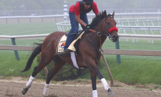 Nyquist feeling his oats as Pimlico sojourn ends