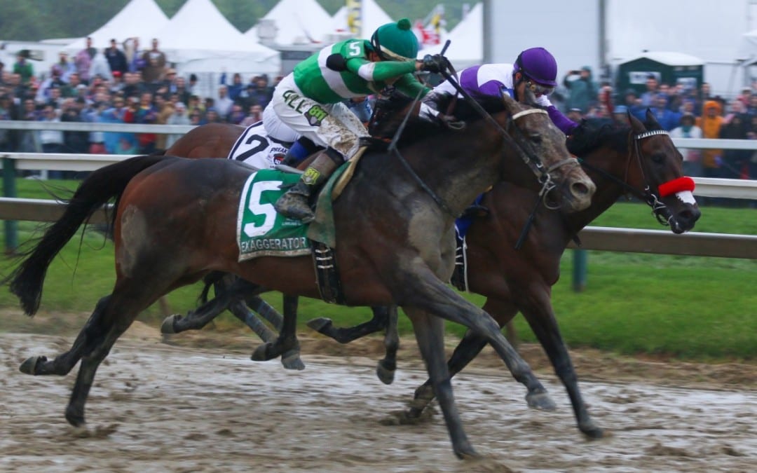 How the Preakness will develop
